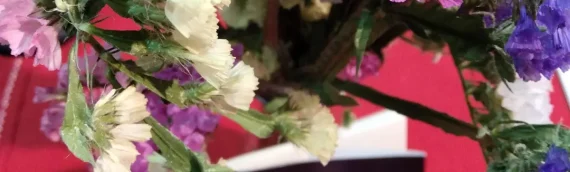 Presentación de la segunda edición de «El día que se acabaron las cosquillas»