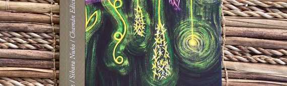 «La filtración de la luz» por Irremedibles Magazine Literario